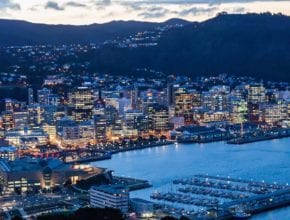 How Nigerians Can Get a Visa to New Zealand